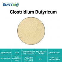 Clostridium Butyricum