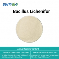 Bacillus licheniformis
